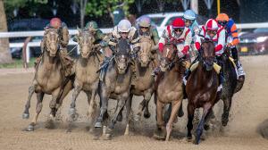 Golden Tempo, Travers Stakes, Saratoga Race Course, Breeders' Cup Classic, horse racing, America's Best Racing, ABR
